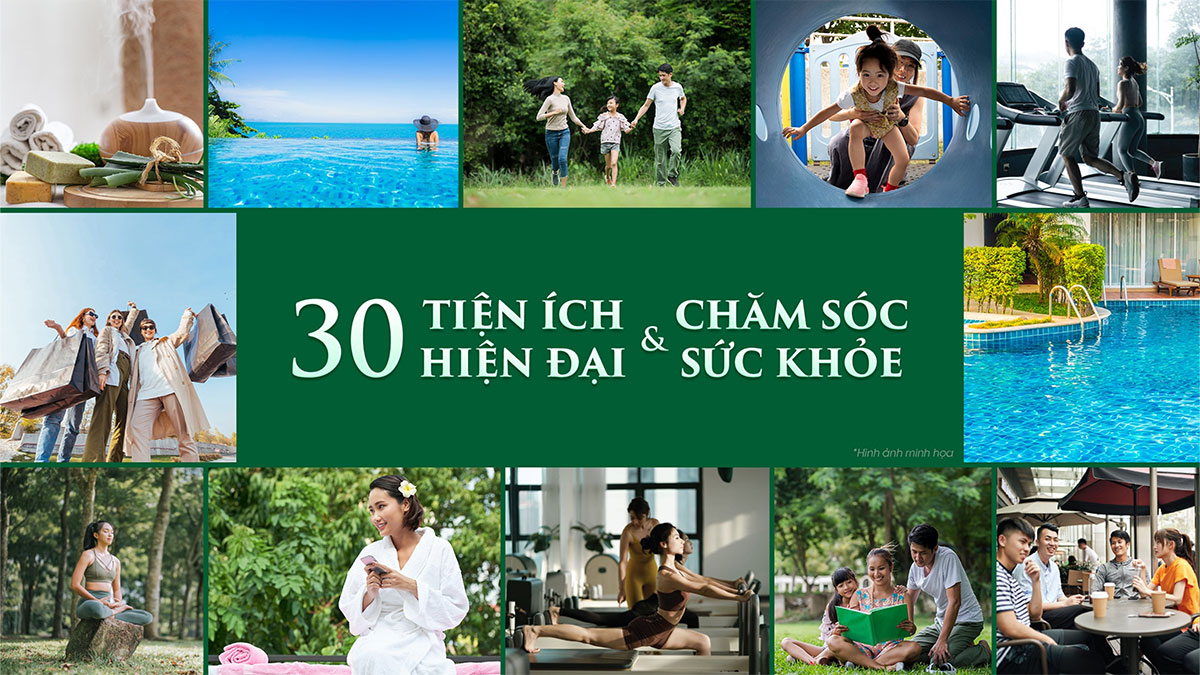 Art Stella 8 tien ich 4